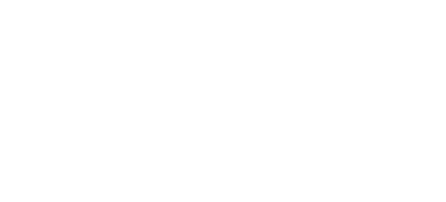 TECNOLOGÍA Y GESTIÓN PERÚ SAC